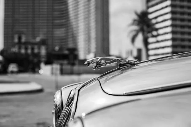 كازوم كازينو تطبيق أندرويد/آي أو إس